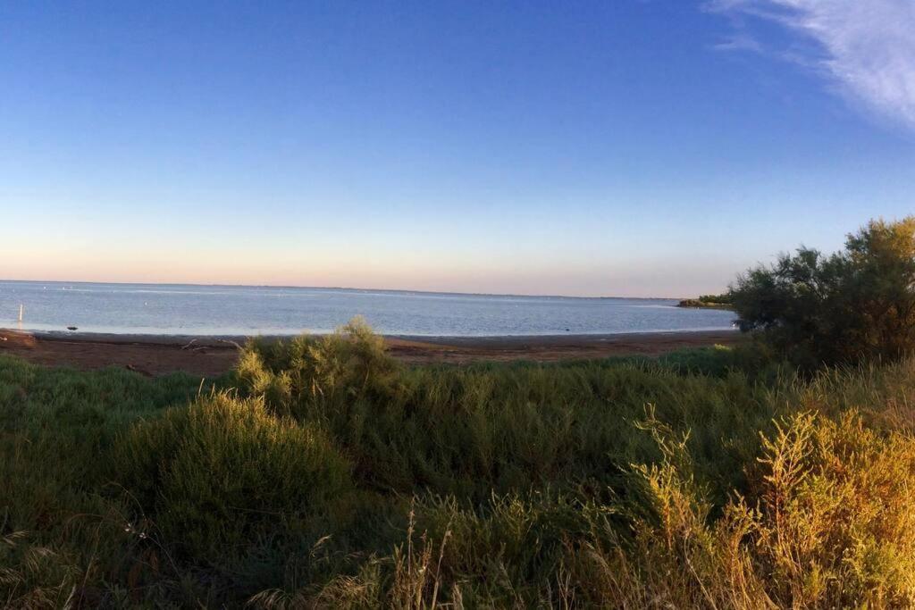 "Le Nature" Camargue Jardin Arlés Exterior foto